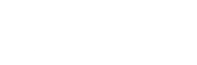 Centre commercial à Plan de Campagne